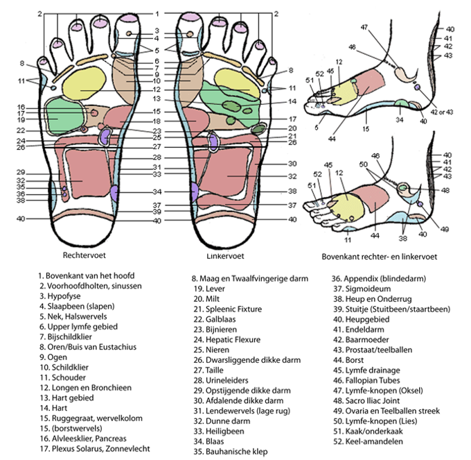 Voetreflexmassage1.png